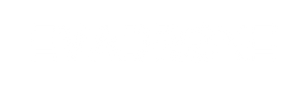 Drone Store